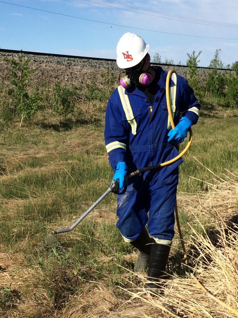 Woman Spraying Weeds